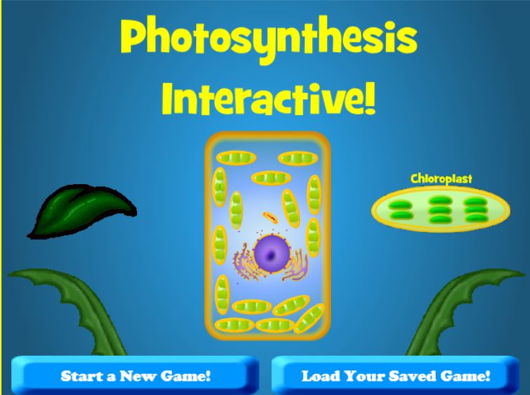 This is a screen capture of the interactive.