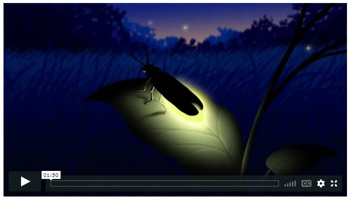 This is a screen capture of the video.