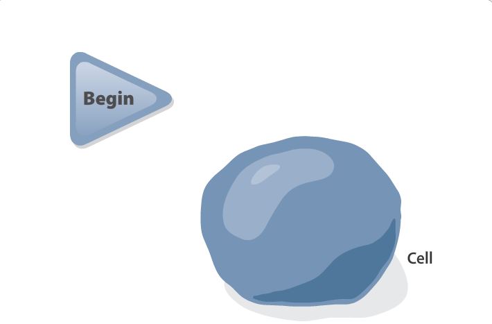 This is a screen capture of the interactive.