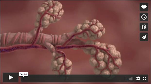 This is a screen capture of the video.