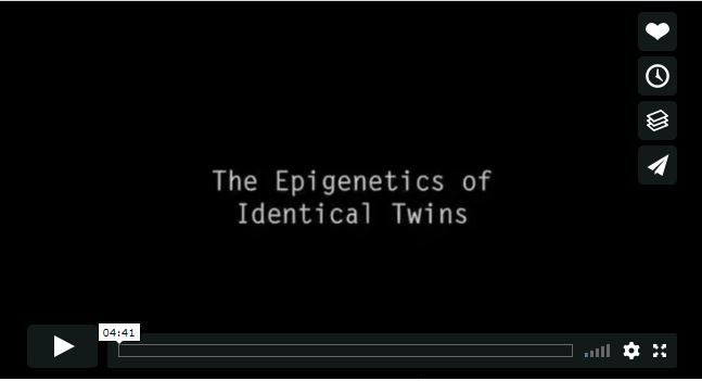 This is a screen capture of the video.