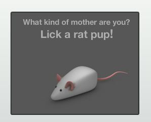 This is a screen capture of the interactive.