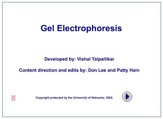 This is a screen capture of the interactive.