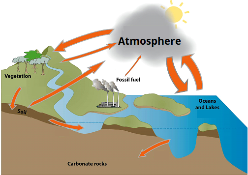 This is an image of the carbon cycle. There are natural sources of carbon and carbon dioxide as well as those produced by industry.