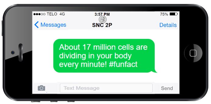 This is an image of a mobile phone with a message that reads, About 17 million cells are dividing in your body every minute! #funfact.