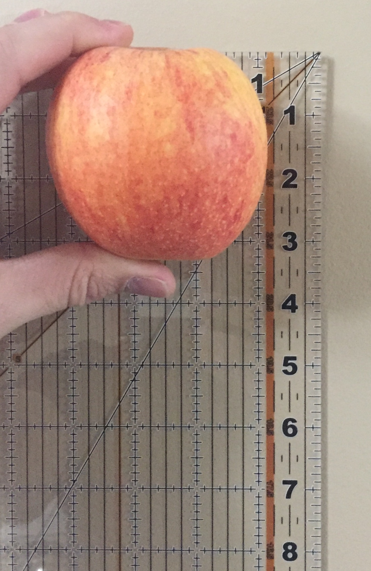 This image shows a red and yellow apple held away from a camera with an inch ruler just behind it. The ruler begins with 1 inch at the top, then shows each number through to 8 inches at the bottom. The apple appears to measure 3 inches from top to bottom.