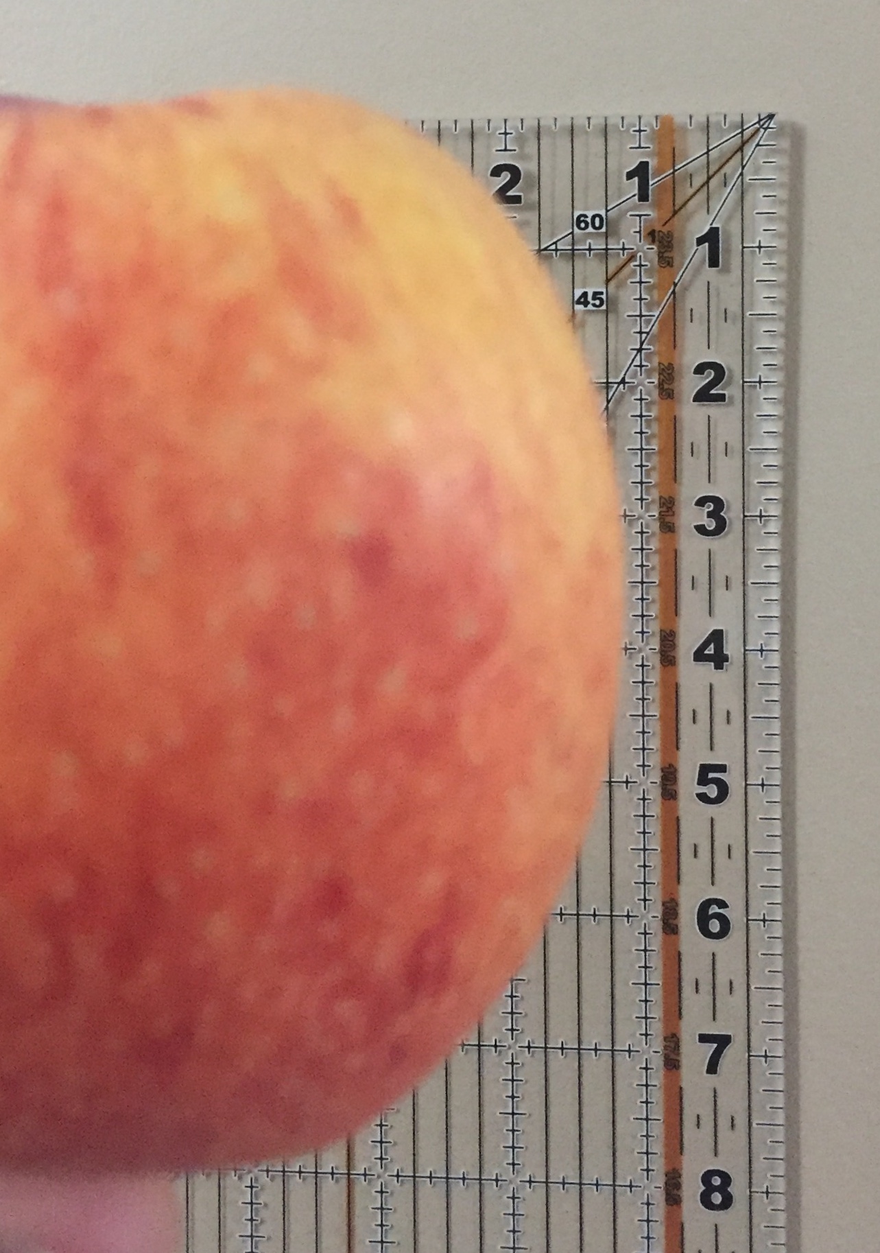 This image shows a red and yellow apple held up closer to the camera with a inch ruler in the background.  The ruler starts with 1 at the top shows each number, finishing with 8 at the bottom.  The apple appears to measure 8 inches from top to bottom.