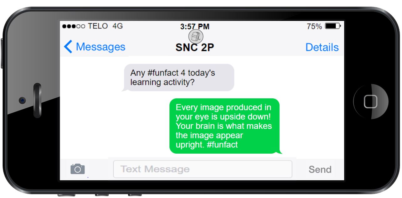This is an image of a phone with two text messages.  First messages reads, Any #funfact 4 today's learning activity? Responding message reads, Every image produced in your eye is upside down! Your brain is what makes the image appear upright. #funfact.