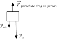 This is an image of free-body diagram D