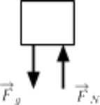 This is an incorrect free-body diagram for bird.