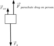 This is an image of free-body diagram C