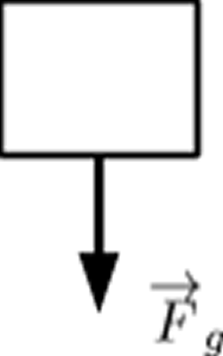 This is a free-body diagram of a baseball at the very top of its thrown trajectory. There is a gravitational force acting on the ball.