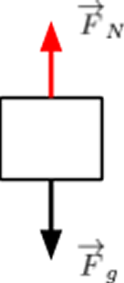 This is a free-body diagram of a pop can resting on the table. There is a gravitational force and a normal force (due to the table) acting on the can.