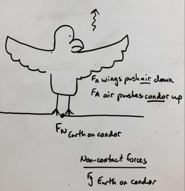 This is a system diagram of condor, and the forces acting on the condor.