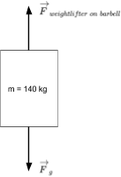 This is a free-body diagram of a barbell being lifted by a weightlifter at constant velocity.