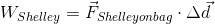 W_{Shelley}=\vec{F}_{Shelley on bag}\cdot \Delta \vec{d}