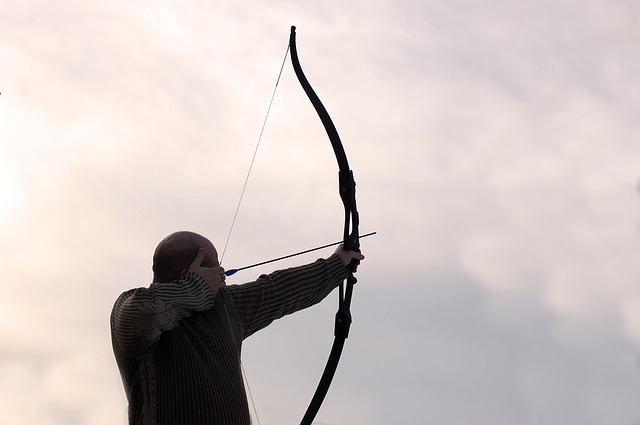 This is an image of someone using a bow and arrow.