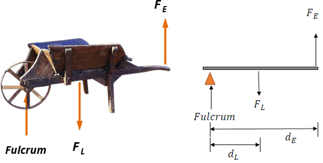 This image depicts wheelbarrow as an example of a 2rd class lever. 
