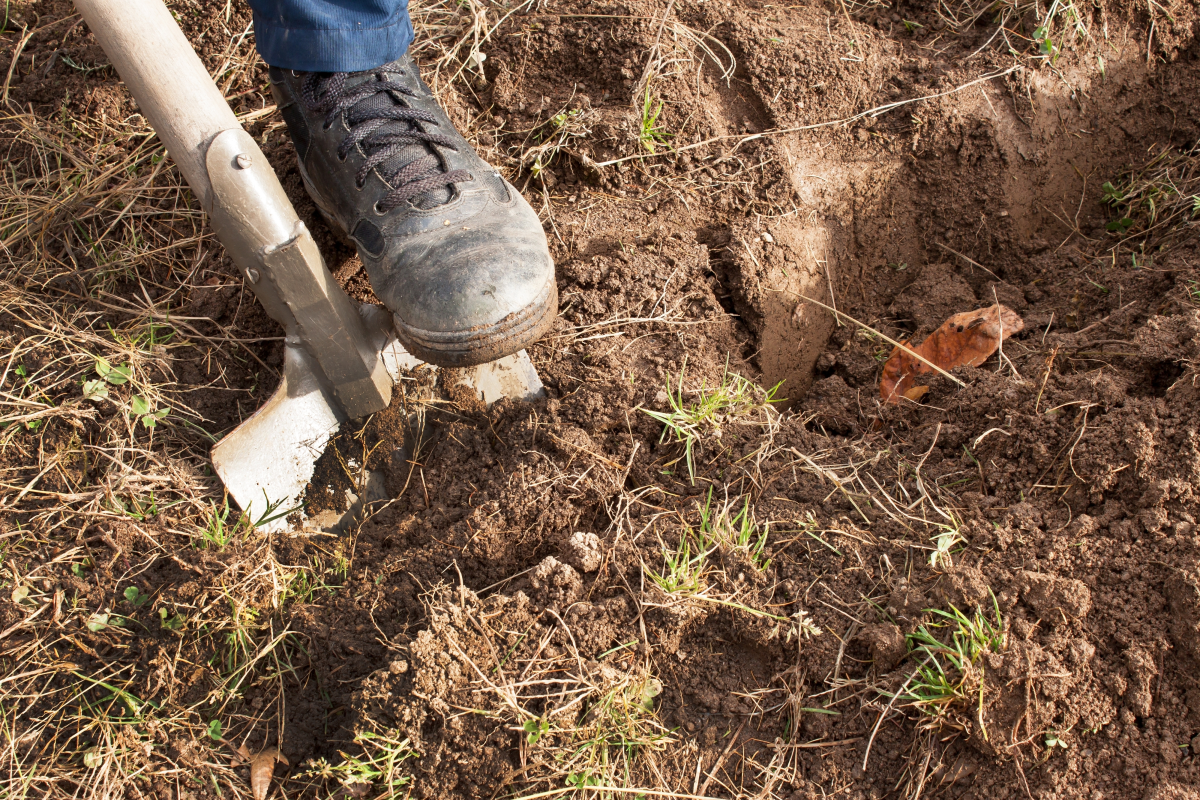 This image depicts a worker pushing a shovel into the ground using their foot. 
