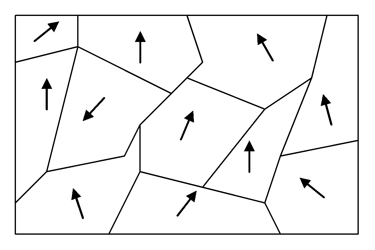  This image depicts semi-ordered domains in a ferromagnetic material. 