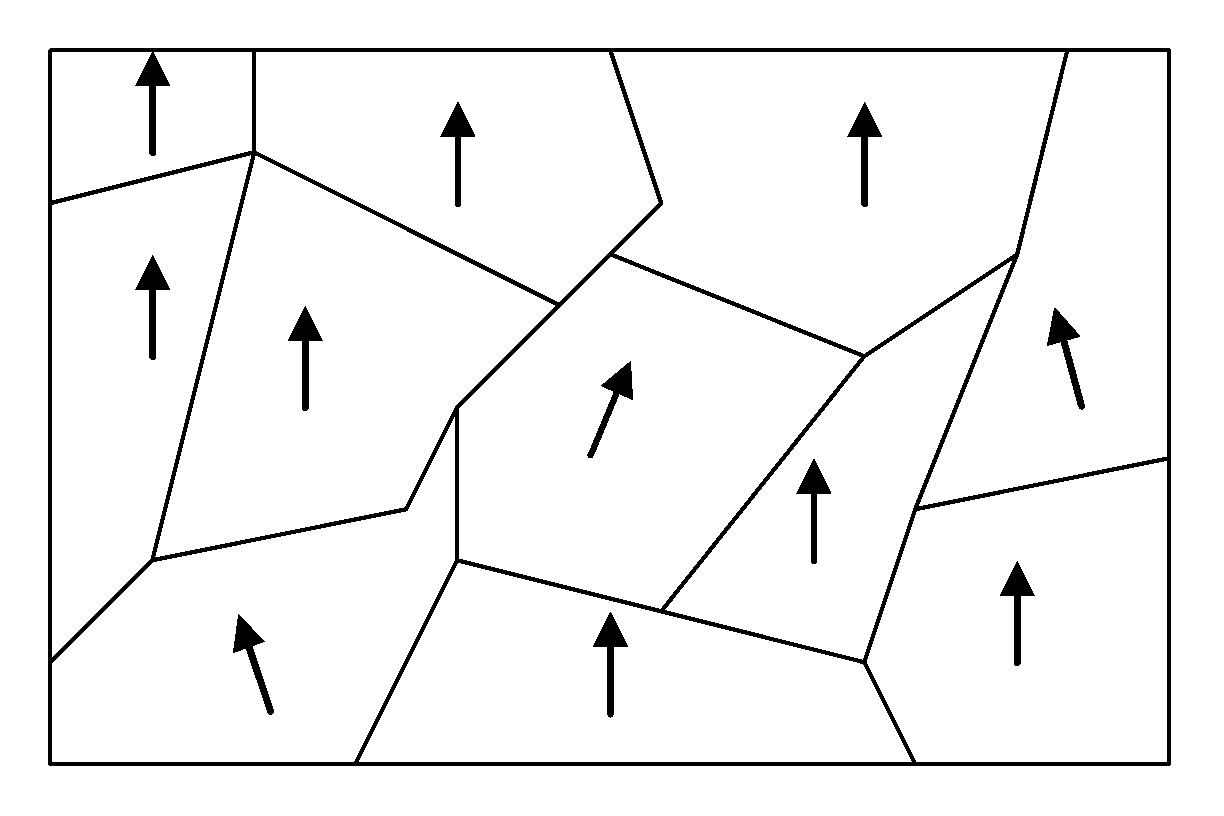 This image depicts ordered domains in a ferromagnetic material.