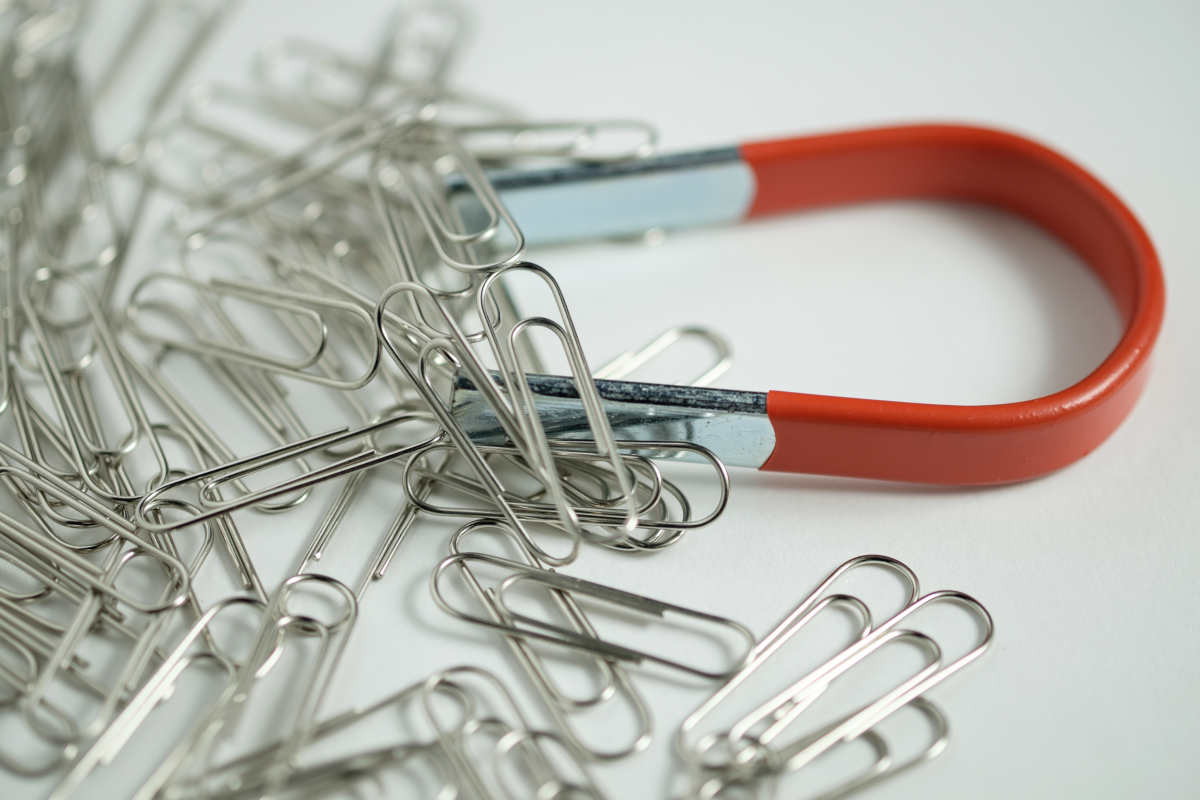 This image depicts a number of paper clips stuck to a horseshoe magnet. 