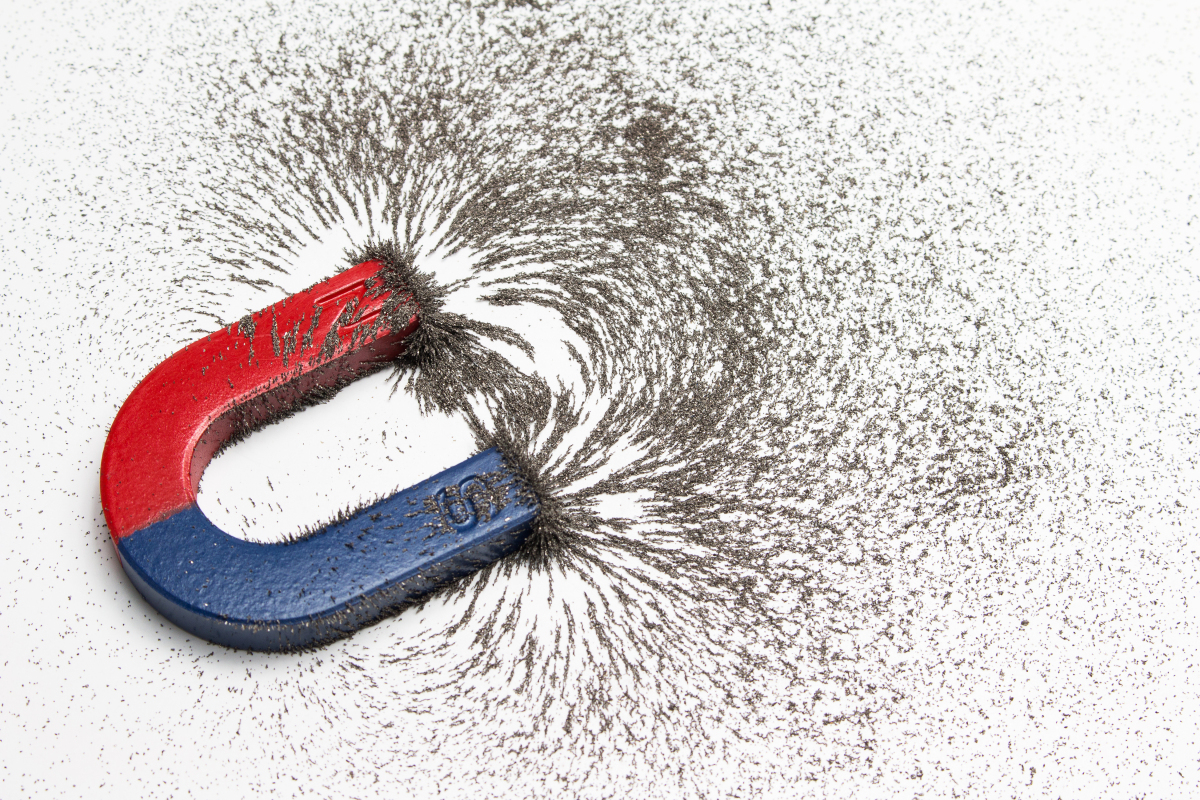 This image depicts a horseshoe magnet with iron filings aligned on the magnetic field lines. 